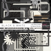 Color Basics- Black & White Kit