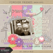 Forever Friends Mini Kit