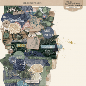 Shabby Vintage #2 Ephemera Kit