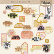 Collected Curiosities #8 Tags & Words Kit