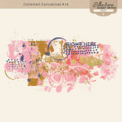 Collected Curiosities #14 Paint Kit