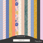 Fieldnotes #7 Papers Kit