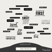 Fieldnotes #11 Baby Stamps Kit
