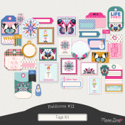 Fieldnotes #13 Tags Kit