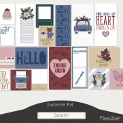Fieldnotes #14 Cards Kit