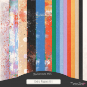 Fieldnotes #15 Extra Papers Kit