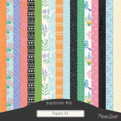 Fieldnotes #16 Papers Kit