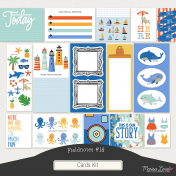 Fieldnotes #18 Cards Kit