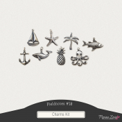 Fieldnotes #18 Charms Kit