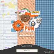 Fieldnotes #19 Mini Kit