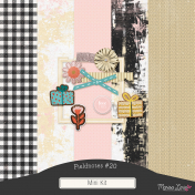 Fieldnotes #20 Mini Kit