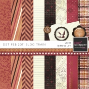 DST February 2011 Blog Train Kit