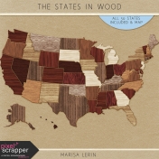 The States In Wood Kit
