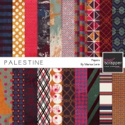 Palestine Papers Kit