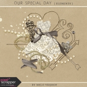 Our Special Day - Elements