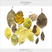 Leaves No.1