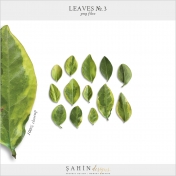 Leaves No.3