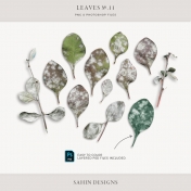 Leaves No.11