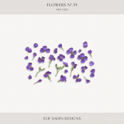 Flowers No.35