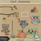 Owl Autumn Elements
