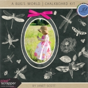 A Bug's World- Chalkboard Kit