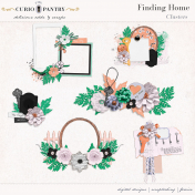 Finding Home Clusters