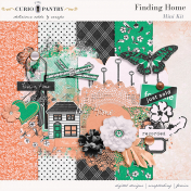 Finding Home Mini Kit