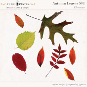 Autumn Leaves No.1