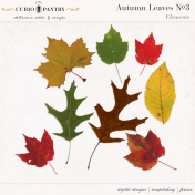 Autumn Leaves No. 3