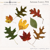 Autumn Leaves No. 4
