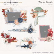 Winter Woods Clusters