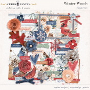 Winter Woods Elements