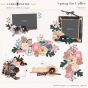 Spring for Coffee Clusters