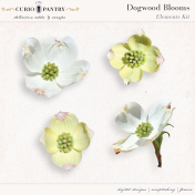Dogwood Blooms