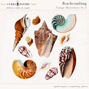 Beachcombing No. 3