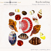 Beachcombing No. 4