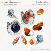 Beachcombing No. 5