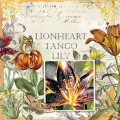 Lionheart Tango Lily