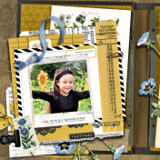 SUNFLOWER FIELDS PART 2