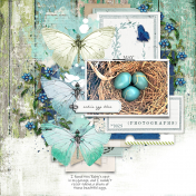 ROBIN EGG BLUE