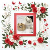 My Pomeranians: Roses Quick Page