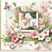 My Poms: Bow and Daisy