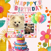Happy Birthday Daisy