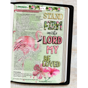 Bible Journaling: Stand firm