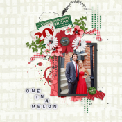 One In A Melon-Cindy Ritter