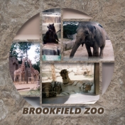 Brookfield Zoo