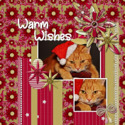 Warm Wishes