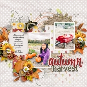 Autumn Harvest