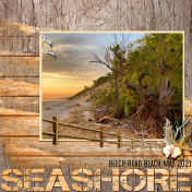 By The Seashore- Beech Road