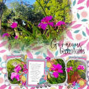 2023-01-12_GorgeousGeraniums